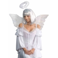 Mini feather Angel Wings