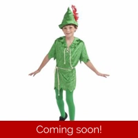 Kids Peter Pan Childs Large