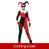 Harley Quinn Adult Harley Quinn Adult