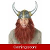 Viking Getup Viking Getup