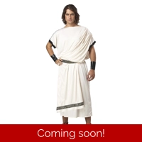 Deluxe Men's Classic Toga Adult One Size