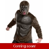 Kong Adult Standard Kong Adult Standard