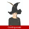 Professor McGonagall's Hat Professor McGonagall's Hat