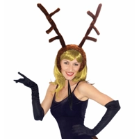 Reindeer Antlers