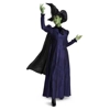 Elaphaba the Wicked Witch Adult Costume Elaphaba the Wicked Witch Adult Costume