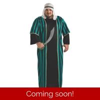 Arabic Sheik Plus Costume