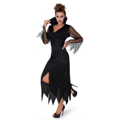 Wicked Sorceress Adult Costume Wicked Sorceress Adult Costume