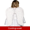 White Feather WIngs White Feather WIngs