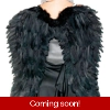 Black Feather Wings Black Feather Wings