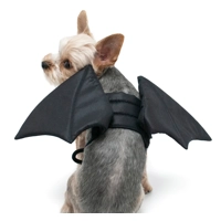 Doggie Bat Wings