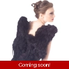 Black Feather Wings Black Feather Wings