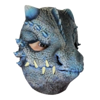Winter Dragon Face Mask
