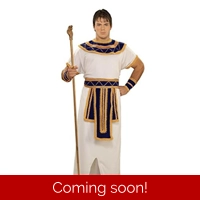 Prince Of Pyramids Adult Costume