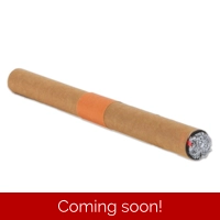 Fake Cigar