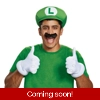 Luigi Accessory Kit