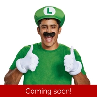 Luigi Accessory Kit