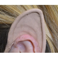 Elf Flexi Ears