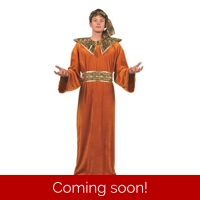 Deluxe Wiseman Rust Velvet Adult Costume