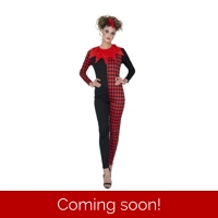 Evil Jester Girl Adult Costume