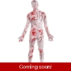 Bloody Disappearing Man Bloody Disappearing Man