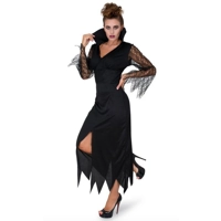 Wicked Sorceress Adult Costume