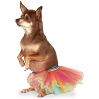 Rainbow Pet Tutu