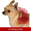 Devil Wings Pet Costume Devil Wings Pet Costume