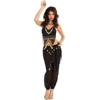 Belly Dancer Adult Costume Belly Dancer Adult Costume