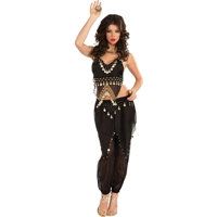 Belly Dancer Adult Costume