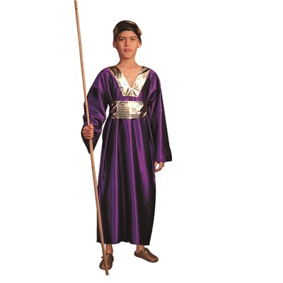 Wiseman Purple Child Costume