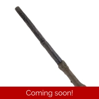 Harry Potters Wand