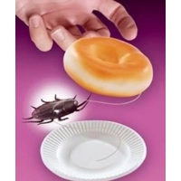 Bagel and Cockroach Surprise