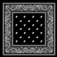 Classic Paisley Square Bandana