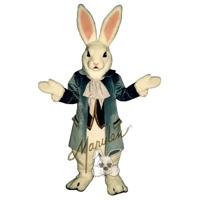 Benjamin Bunny Rental Costume