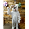 Bucktooth Bunny Rental Costume Bucktooth Bunny Rental Costume