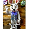 Country Bunny Rental Extra Long Costume