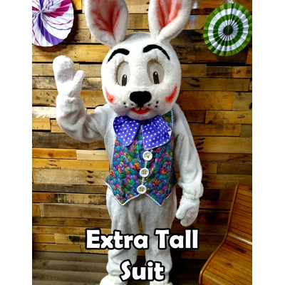 Country Bunny Rental Extra Long Costume