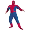 Spider-man Spider-man