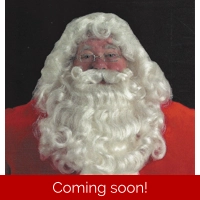 Professional Santa Wig and Beard Set