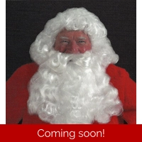 Deluxe Santa White Wig and Beard Set