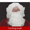 Economy Santa Wig and Beard Set Economy Santa Wig and Beard Set