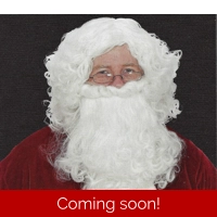 Economy Santa Wig and Beard Set