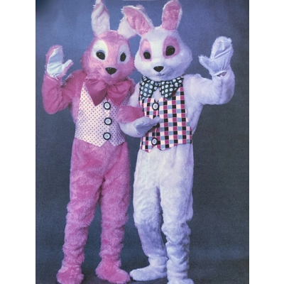 Pink Sweet Bunny Rental Costume