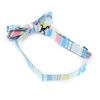 BowTie & Hanky PASTEL PLAID BowTie & Hanky PASTEL PLAID