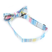 BowTie & Hanky PASTEL PLAID