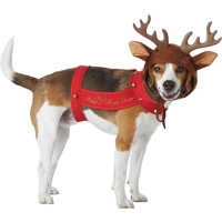 Reindeer Dog Pet Costume
