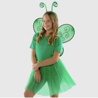 Green Fly Antenna Headband