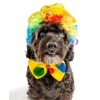 Clown Costume Clown Costume