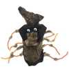 Scary Spider Scary Spider