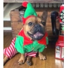 Elf Elf